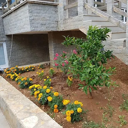 Dom wakacyjny Sofia's