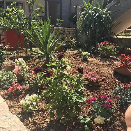 Holiday home Sofia's Vlore